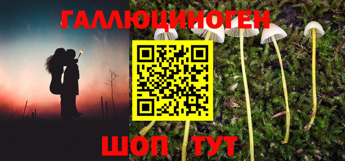 Галлюциногенные грибы GOLDEN TEACHER  Псилоцибиновые грибы Psilocybine cubensis  Касимов  Вход с VPN 