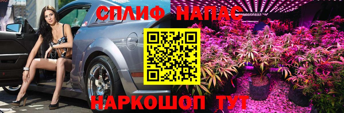Конопля White Widow  Вход с VPN  Конопля Ganja  Касимов 